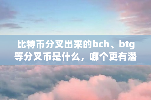 比特币分叉出来的bch、btg等分叉币是什么，哪个更有潜力成为下一个新的比特币（bch什么币主流币吗）