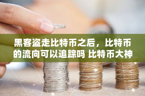 黑客盗走比特币之后,比特币的流向可以追踪吗 比特币大神孙泽宇 黑客盗走比特币之后,比特币的流向可以追踪吗 比特币大神孙泽宇