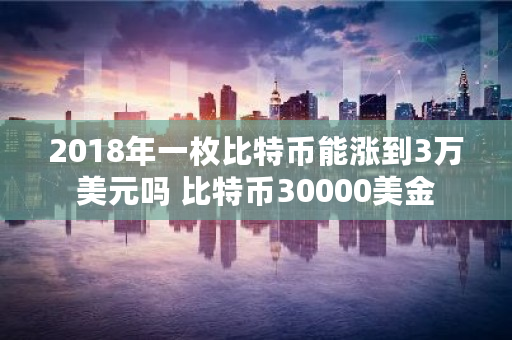 2018年一枚比特币能涨到3万美元吗 比特币30000美金