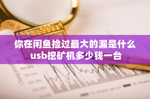 你在闲鱼捡过**的漏是什么 usb挖矿机多少钱一台 你在闲鱼捡过**的漏是什么 usb挖矿机多少钱一台