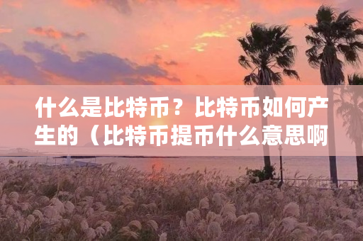 什么是比特币？比特币如何产生的（比特币提币什么意思啊）