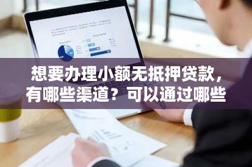 想要办理小额无抵押贷款，有哪些渠道？可以通过哪些途径进行贷款？