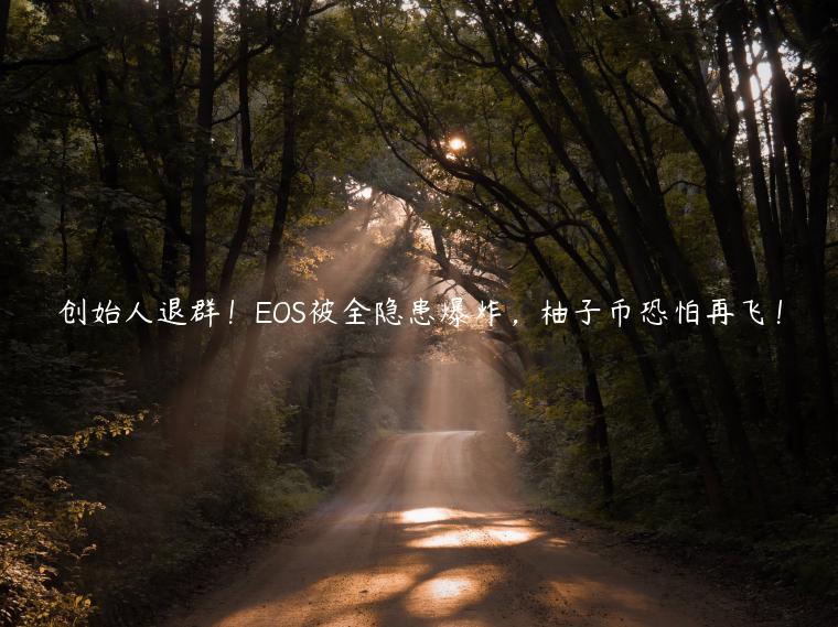 创始人退群！OS被全隐患**，柚子币恐怕再飞！-**张图片-binance下载