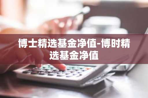 博士精选基金净值-博时精选基金净值