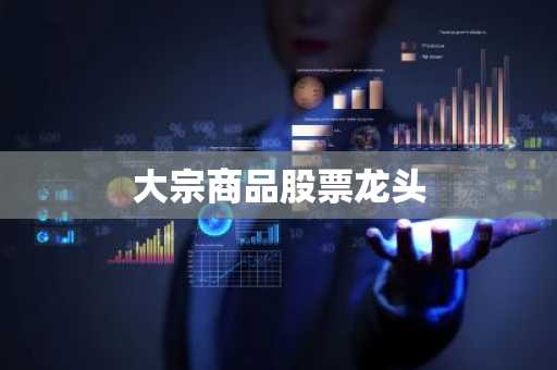 大宗商品股票龙头