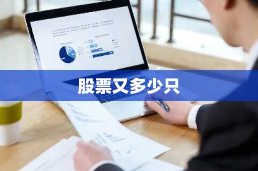 股票又多少只