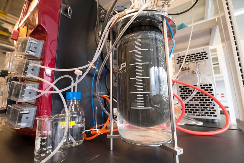 Qiwi是不是用（locationsWRT54G的Qiwi是不是用）-第3张图片-binance下载