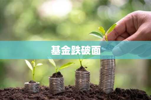 基金跌破面