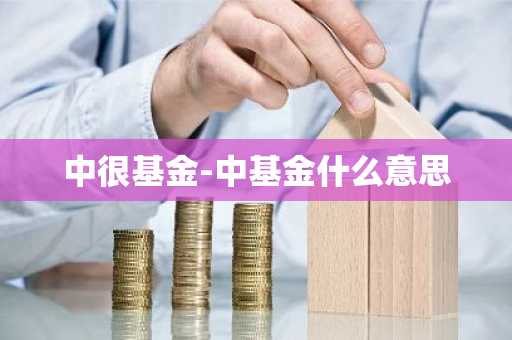 中很基金-中基金什么意思