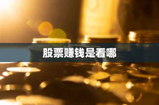 股票赚钱是看哪