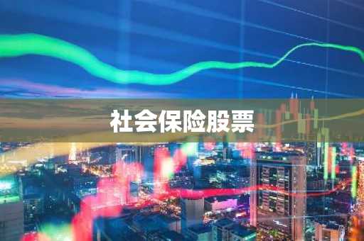 社会保险股票