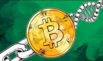 虚拟币交易平台怎么注册|比特币交易平台都有哪些-第2张图片-binance下载 虚拟币交易平台怎么注册|比特币交易平台都有哪些-第2张图片-binance下载