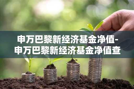 申万巴黎新经济基金净值-申万巴黎新经济基金净值查询310358