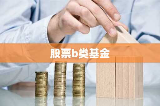 股票b类基金