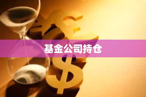基金公司持仓