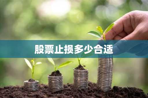 股票止损多少合适