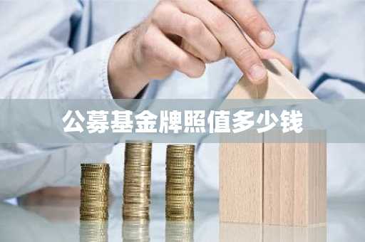 公募基金牌照值多少钱