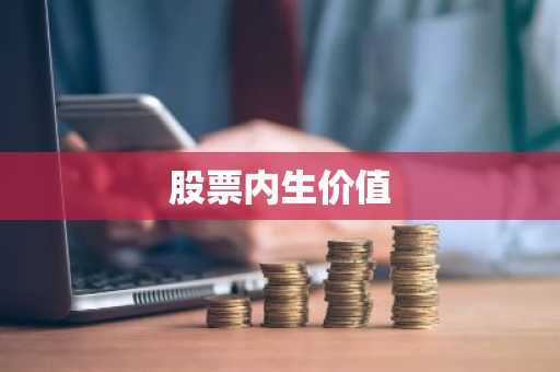 股票内生价值