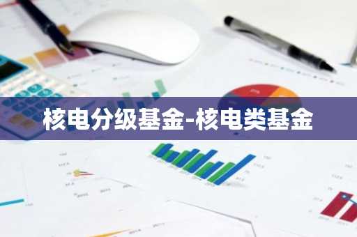 核电分级基金-核电类基金