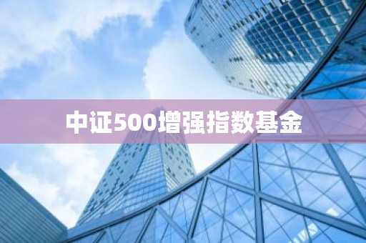中证500增强指数基金