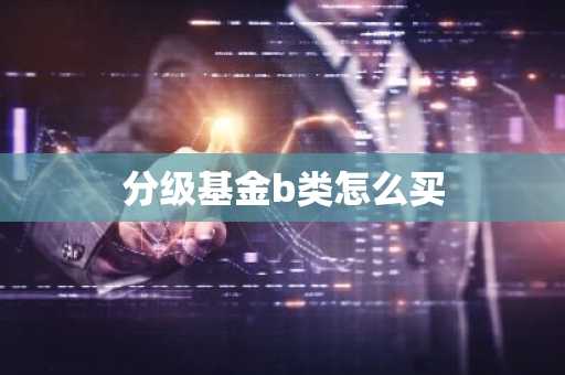 分级基金b类怎么买
