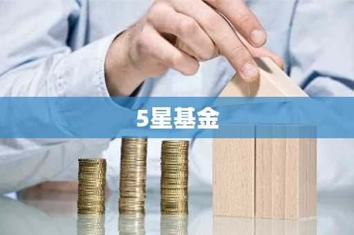 5星基金