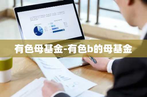 有色母基金-有色b的母基金