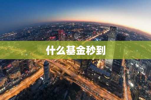 什么基金秒到