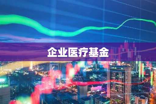 企业医疗基金