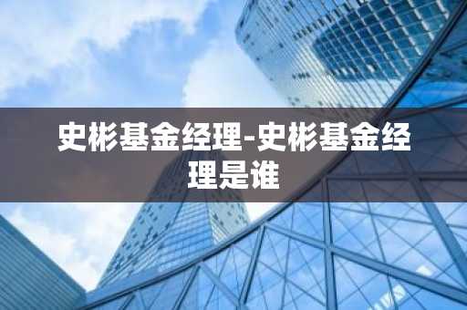 史彬基金经理-史彬基金经理是谁