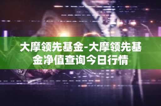 大摩领先基金-大摩领先基金净值查询今日行情