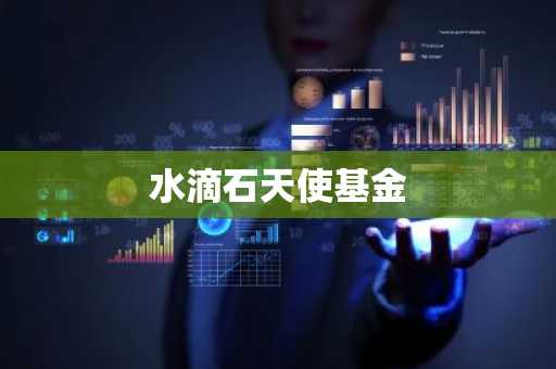 水滴石天使基金