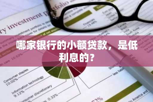 哪家银行的小额贷款，是低利息的？