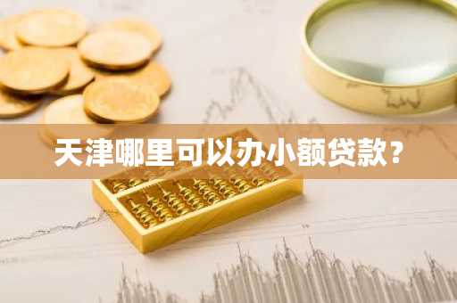 天津哪里可以办小额贷款？