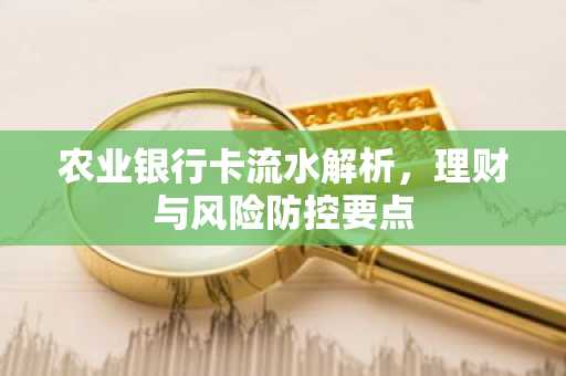 农业银行卡流水解析，理财与风险防控要点