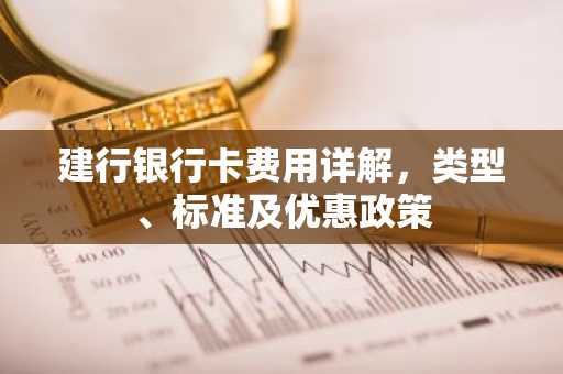建行银行卡费用详解，类型、标准及优惠政策