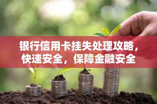 银行信用卡挂失处理攻略，快速安全，保障金融安全