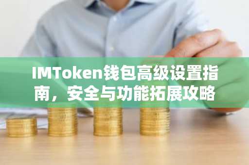 IMToken钱包高级设置指南，安全与功能拓展攻略