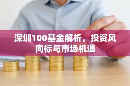 深圳100基金解析，投资风向标与市场机遇