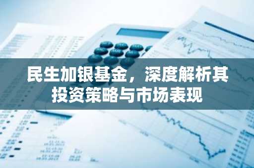 民生加银基金，深度解析其投资策略与市场表现