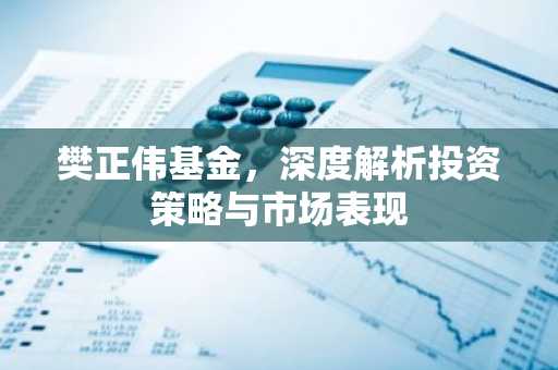 樊正伟基金，深度解析投资策略与市场表现