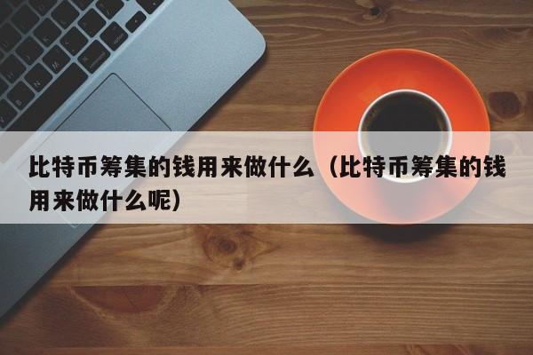 比特币筹集的钱用来做什么(比特币筹集的钱用来做什么呢)