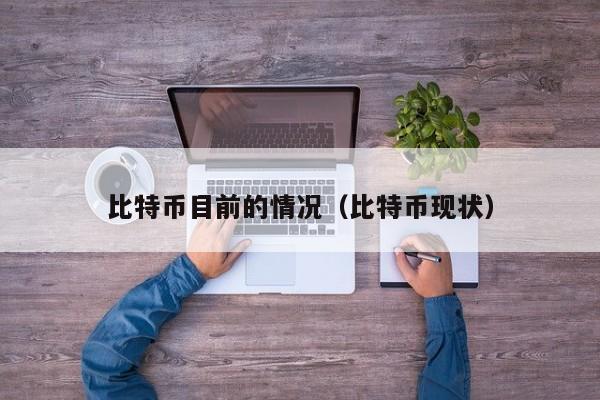 比特币目前的情况(比特币现状)