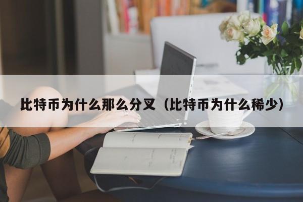 比特币为什么那么分叉(比特币为什么**)