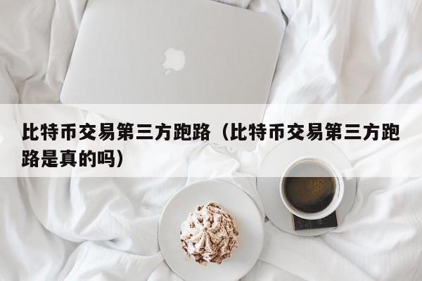 比特币交易第三方跑路(比特币交易第三方跑路是真的吗)