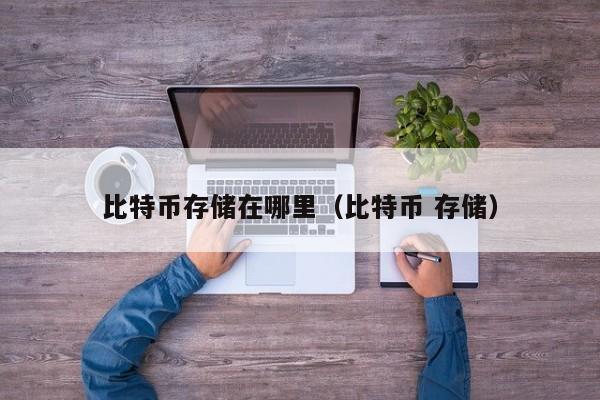 比特币存储在哪里(比特币 存储)