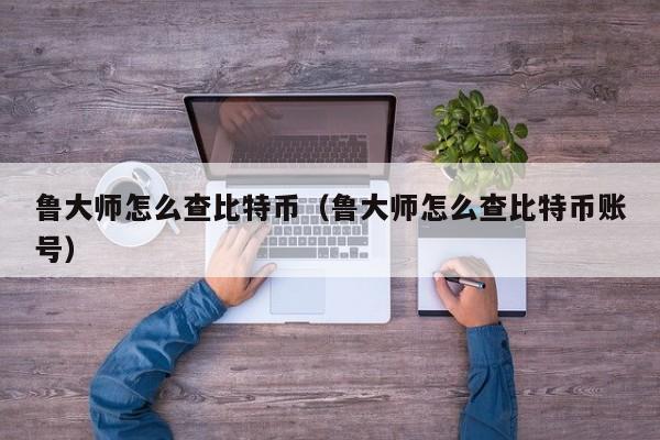 鲁大师怎么查比特币(鲁大师怎么查比特币账号)