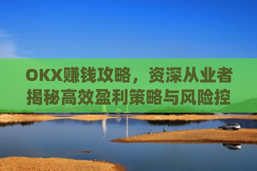 OKX赚钱攻略,资深从业者揭秘**盈利策略与风险控制_okx赚钱图片