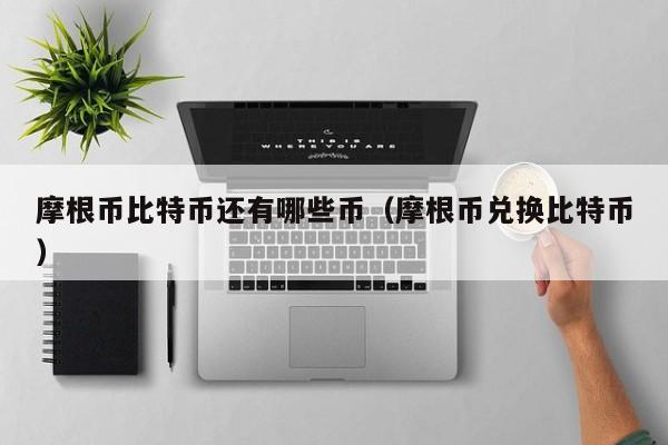 摩根币比特币还有哪些币(摩根币兑换比特币)