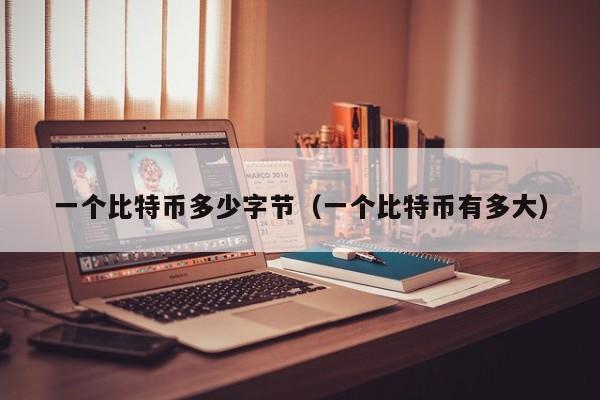 一个比特币多少字节(一个比特币有多大)